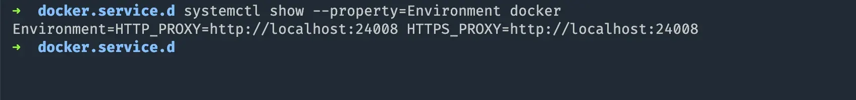 配置环境变量之后,使用 systemctl 查看配置的变量具体信息
